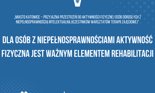 dla osób z niepełnosprawnościami aktywność fizyczna jest ważnym elementem rehabilitacji 